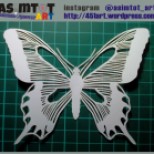 new1-w-butterfly1-5